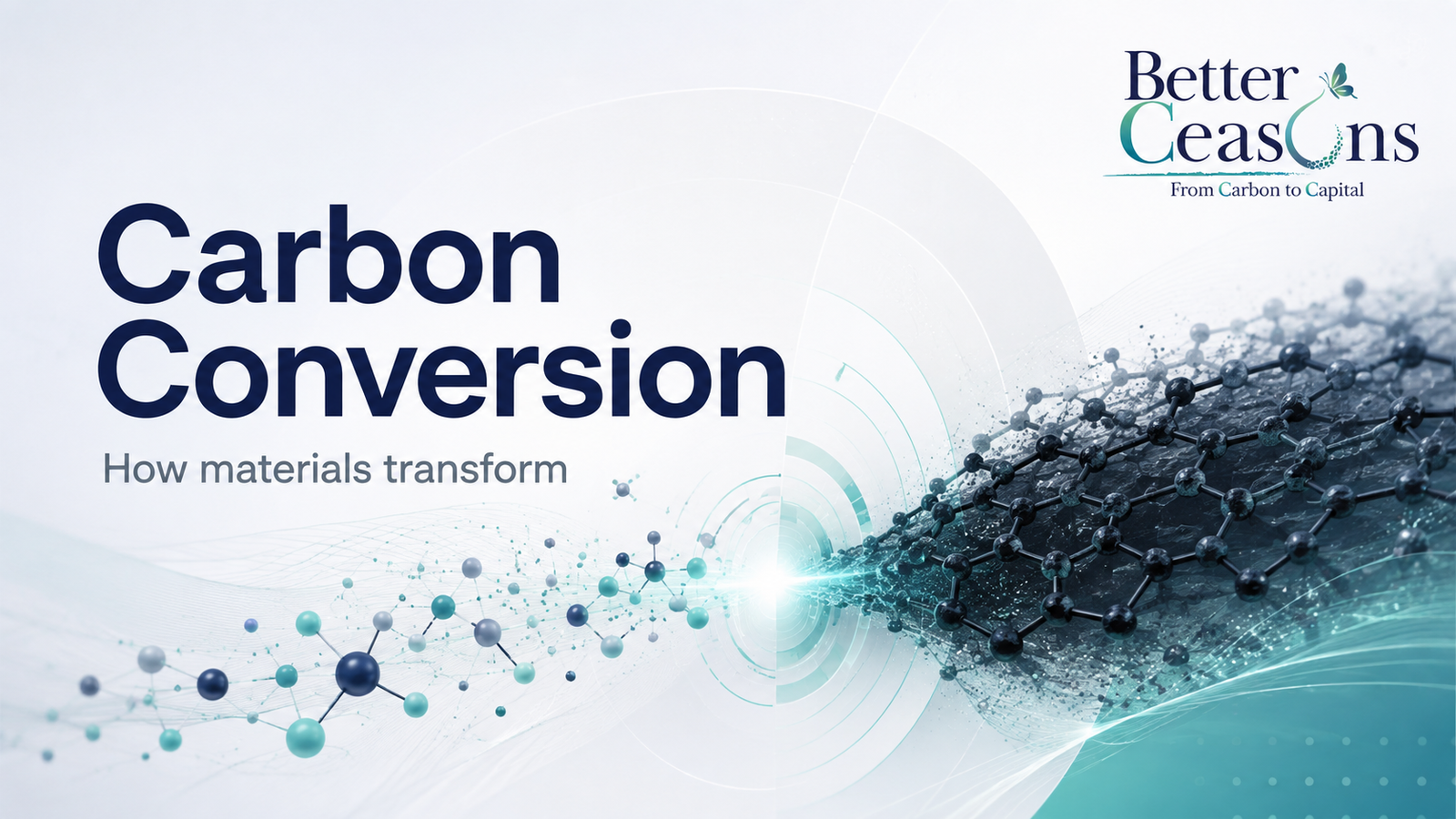 How Is Waste Converted to Carbon